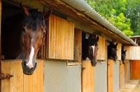 free Bury Park stable construction quotes